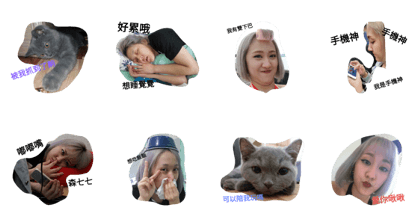 small Cats small Cats