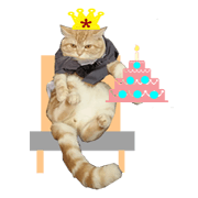 Butter Cat