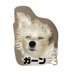 GAM_20211207141844
