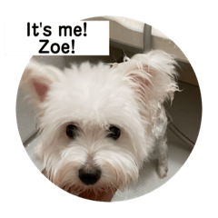 Sara Sato_20211206220454