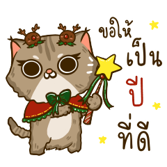 Santa Cats Celebration