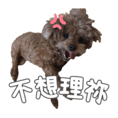 悦悦隨意貼