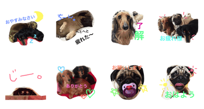 lovedogs.....