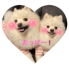 Rei_20211207154636