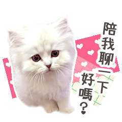 四爺&虎哥遊樂園