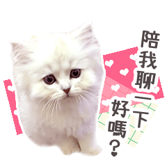 two cute cats stickers