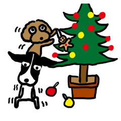Border Collie's &Toy Poodle's winter