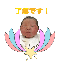 minami private Sticker