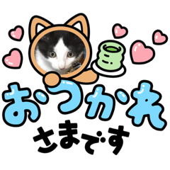 mizuki_20211207161314