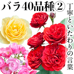 photographed image roses(Japanese)vol.2