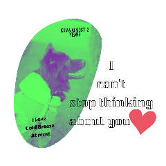 KumaStreetdog_20211207134024