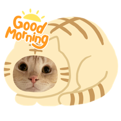 RISA_20211207172310