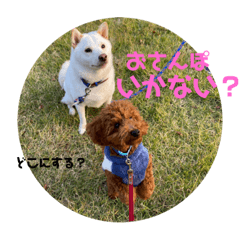 risa_20211207182412