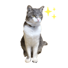 Miko_20211207192301