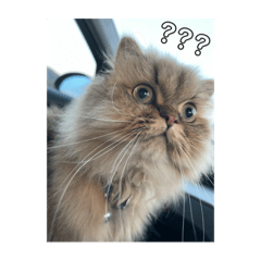 runanoyukainanakamatati