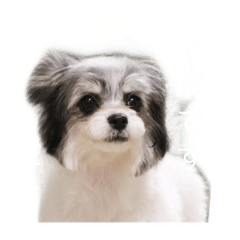 Hana_20211207233511