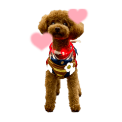 himawari_20211208000550