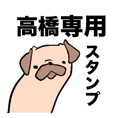 my name is takahashi pug.