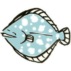 Blue flatfish