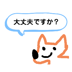 Japanese dog /shiba / Tarokun /mainichi