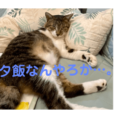 miki_20211208121044
