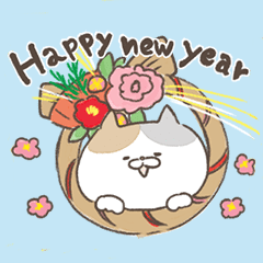 New Year of a moving loose cat!