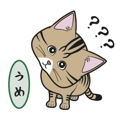 [Only for Ume](brown tabby)