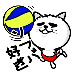 cat love soft volleyball