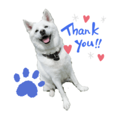 cream_20211208155218