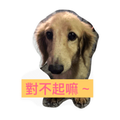 豆奶腸腸1