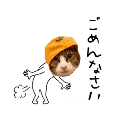 ringo_20211208200500