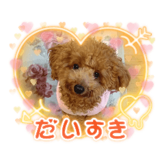 kayo_20211208221122