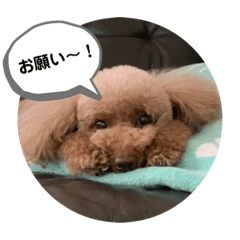 aki sakamoto_20211208225128