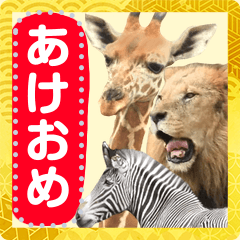 Message card of the zoo