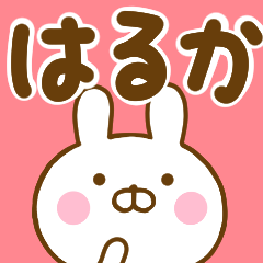 Rabbit Usahina haruka