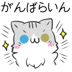 Miyagi dialect & Sendai dialect cat