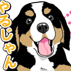 Wanko-Biyori Barneys Mountain Dog