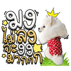 Iamnook_20211209091442