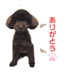 miki_20211209130603