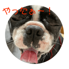 risa_20211208210643