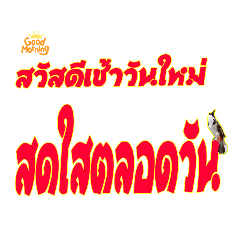jaomao_20211208194707