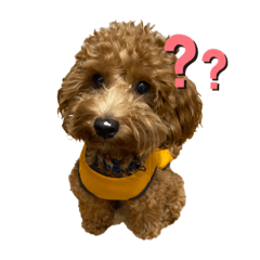 himawari_20211209125519