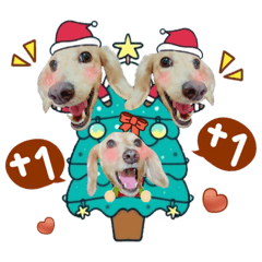 我是可愛的豆豆-豆豆陪你過聖誕