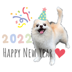 ringo_20211209213406