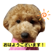 SugarDrop_20211209225111