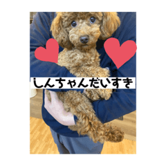 himawari_20211210020731