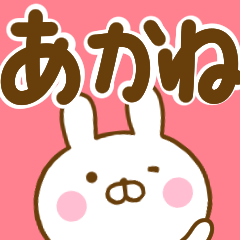 Rabbit Usahina akane