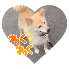 Smile_20211209175906