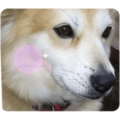 Smile_20211209184551