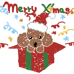 Toy poodle's Christmas